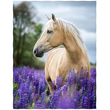 QH 50x80 Inch White Horse Pattern Super Soft Throw Blanket for Bed Couch Sofa Lightweight Travelling Camping Throw Size for Kids Adults All Season