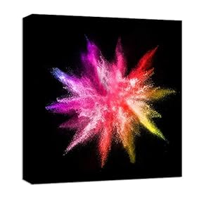 signwin Canvas Wall Art Colorful Powder Canvas Prints...