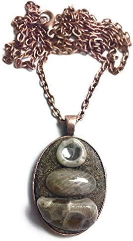 24 inch Lake Michigan Fossil Necklace with Petoskey Stone, Horn Coral, and Crinoid in Beach Sand