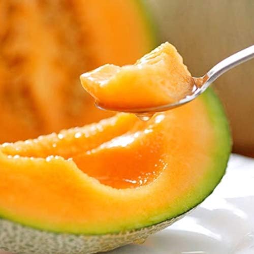 熊本県産 受注生産品 クインシーメロン 赤肉メロン 3玉入 4l