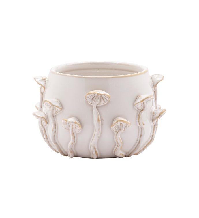 Photo 1 of Napco Imports 3D Wild Mushroom Motif 3.25 x 3.75 Inch Distressed Ivory Ceramic Indoor Planter Pot for Small Plants and Succulents