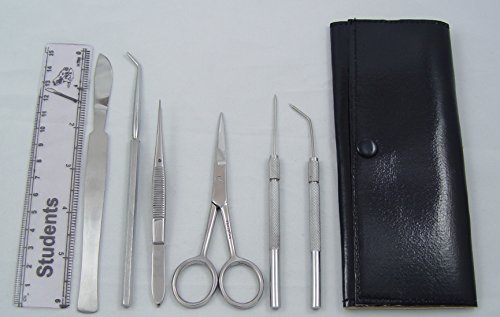 Introductory Anatomy Dissecting Kit - Thumbnail 3