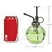 Ebristar Plant Mister, Glass Watering Spray Bottle, 6.5