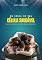 Livro EM BUSCA DE UMA CÉLULA SAUDÁVEL: Saúde espiritual que gera frutos duradouros.