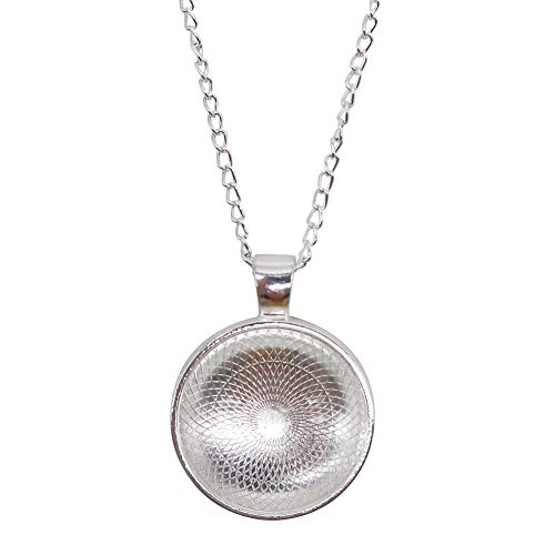 Kits TOAOB 10Sets 25mm Pendant Trays 