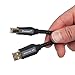 Pangea Audio Premier SE USB Cable (1 Meter)
