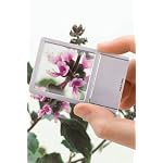 Levenhuk-Zeno-90-Compact-Fresnel-Lens--Pocket-Magnifer-with-LED-Illumination