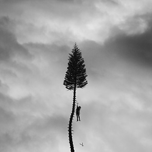 Album Art for A Black Mile To The Surface [2 LP] by Manchester Orchestra