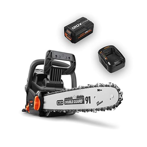 FUXTEC Akku Kettensäge EA216 inkl. 2Ah-Akku & Ladegerät Oregon Schwert 41cm 120V Lithium li Batterie von Samsung mit"one Battery fits all" für alle FUXTEC-Geräte