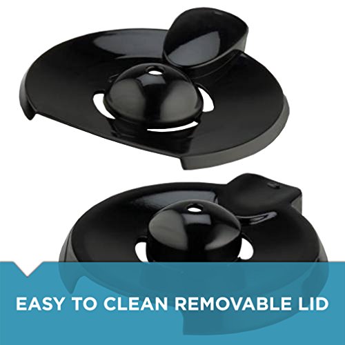 BLACK+DECKER 12-Cup Replacement Carafe with Duralife Construction, Glass, GC3000B