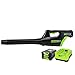 Greenworks Pro 80V Cordless Brushless Axial Blower, 2.0Ah Battery and Rapid Charger Included primary