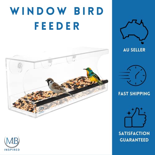 Large Window Bird Feeder with Strong Suction Cups Perspex Bird