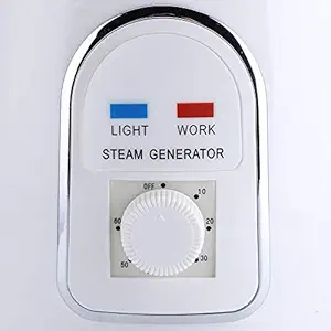 Saunas steam Generator, 1.5 l Capacity Saunas steam 50-60Hz 850-900 W 0-60 Minutes 7.48 x 10.23 inches Portable Steamer for Sauna(110V US regulations-default0)'$