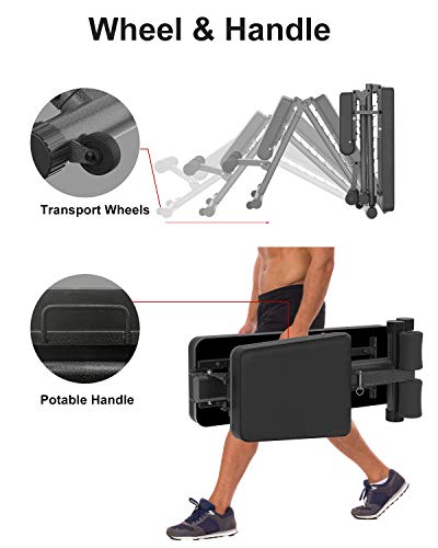 BARWING Adjustable Weight Bench- 800 lbs Folding Full Body Workout Bench with Dragon Flag, 8+4+2 Positions Multi-Purpose Incline/Flat/Decline Bench for Home Gym Strength Training (Black-Black)
