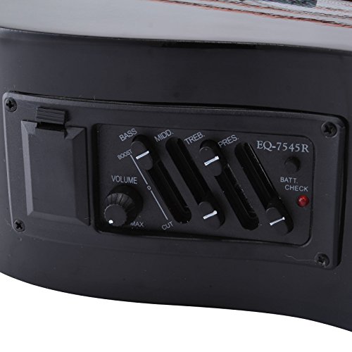 5 LAGRIMA+Acoustic+Cutaway+Natural+Beginners