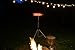 1500 Watt Gold Coated Tungsten Quartz Infrared Heater Remote Controlled Patio Heater/on Off/High/Low/med