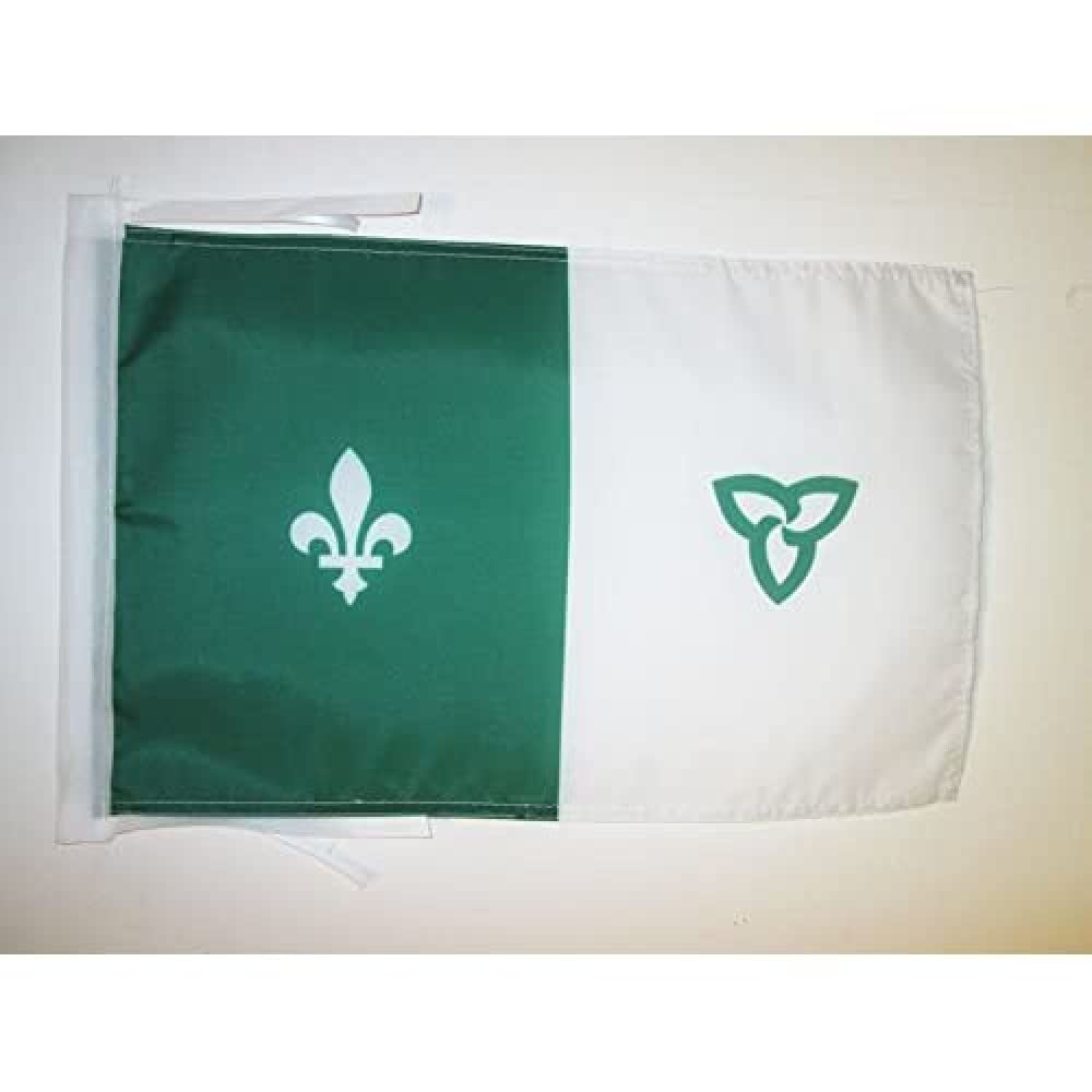 AZ FLAG - Franco-Ontarian Flag - 18'' x 12'' - 100% Polyester Franco-Ontariens Small Banner with Two Cords - Fade Resistant - Vivid Colors - 18x12 in - 45x30 Cm — image 1