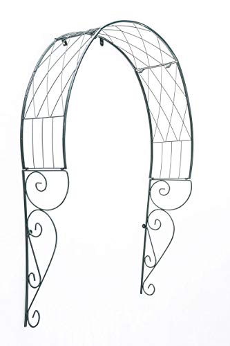 CLP Metall-Rosenbogen Für Die Tür I Rankbogen Mit Dunkelgrüner Beschichtung I Rankhilfe Für Kletterpflanzen I Verzierter…