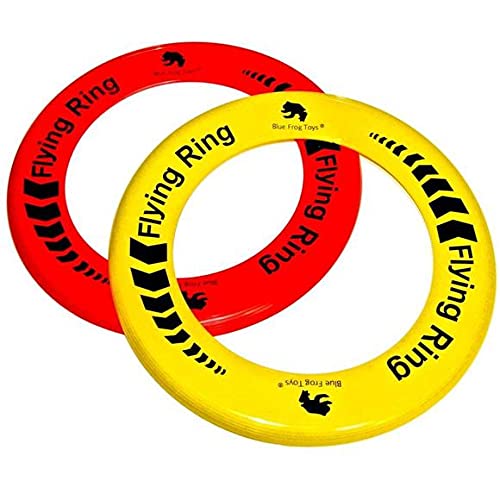 BeSquared 2 Packs of Assorted Colours Flying Rings – 25cm Action Pack Frisbee for Boys, Girls and Adults - Ideal for Outdoor Activities, Beach, Camping, Park and Garden Games