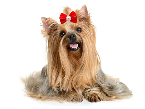 image for YOY 30pcs/15 Pairs Adorable Grosgrain Ribbon Pet Dog Hair Bows with Ru