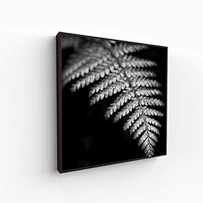 Canvas Wall Art for Living Room, Bedroom Monochrome Image Framed Canvas Prints for Home Decoration Ready to Hang - 16x16 inches