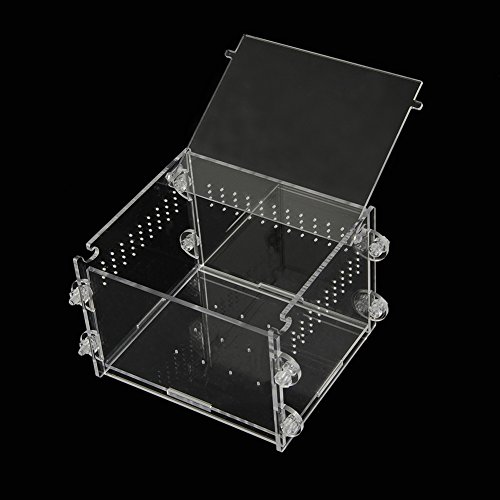 image for OSHIDE Acrylic Transparent Reptiles Terrarium Container for Lizard Cha