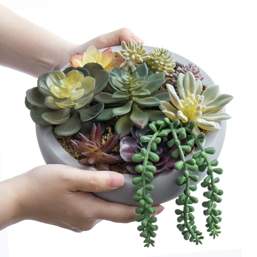 MyGift 20,3 centímetros Arreglo de Plantas suculentas Artificiales en Maceta de concreto