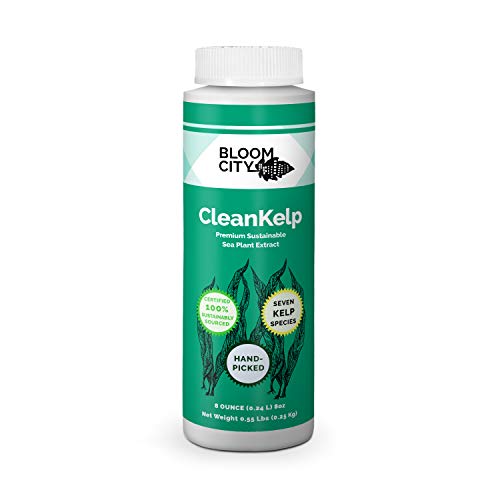 Organic Sea-K Kelp Fertilizer Powder – Concentrated Seaweed Extract For Plants, NPK 0-0-15