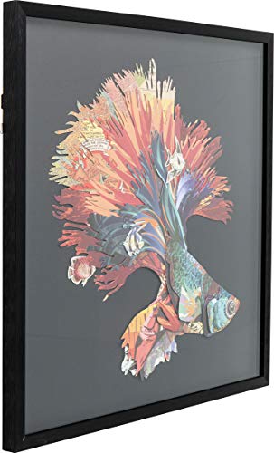Kare-Design-Bild-Frame-Art-Betta-Fish-Colore-Right-Quadratisches-Bild-mit-Bilderrahmen-in-der-Farbe-Schwarz-Fisch-Motiv-in-bunten-Farben-65x65cm-HBT-65x65x3cm