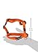 Reflective Adjustable Dog H Harness for Small to Medium Dogs; matching collar and leash available, Orange