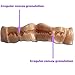 Mia's Pocket Pussy - Realistic Male Masturbator - Great Male Sex Toy - Realistic Textured Male Masturbator