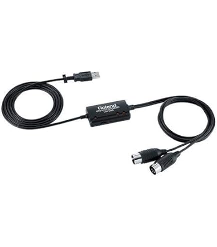 Amazon.com: Roland WM-1 Low-Latency Wireless MIDI Adaptor with