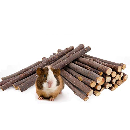 JanYoo 7oz Apple Chew Sticks for Guinea Pig,Bunny Rabbit Treats Snacks Wood Toys for Small