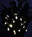 Velice Battery Operated LED Fairy String Lights 20 Ghost Lights Halloween Christmas Decoration Lights (Ghost Light)
