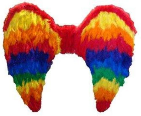 Gay Rainbow Sisters Gay Pride Angel Wings Adult Size Rainbow