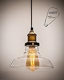 Lucia Lighting Pendant Ceiling Light Mid-Century Vintage Industrial Bronze Pendant Design with Clear Glass Shade; Masterpiece Lighting Fixture,Edison Bulb 60 Watt dimmable included. ()