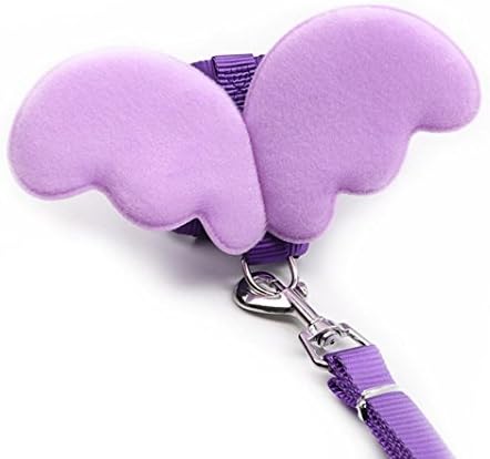 OOEOO Pup Harness Adjustable Cute Angel Wing Travel Strap Pet Dog Leads Collars Set