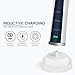 SweetLF Electric Toothbrush 48000 Vibrations Deep Clean Rechargeable Sonic Toothbrush 2 Minutes Timer 3 Brushing Modes Full Waterproof Electronic Power Tooth Brush White with 3 Replacement Heads