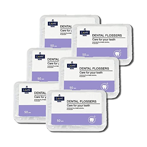 LeoN Home Unwaxed Dental Floss Picks 300 PCS w/ Travel Carry Case