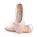 High Quality Ladies Professional Ballet Pointe Dance Shoes With Silica-gel Pointe Shoes Toe Pads (EU40 ( Inside Length 260mm; US7))