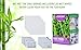 Pack of 20 Bamboo Foot Patches | Bamboo Vinegar Foot Pads | All Natural & Premium Ingredients for Relief & Results | Apply, Sleep & Feel Better | No Stress Packaging | Improve Your Sleep Overnight