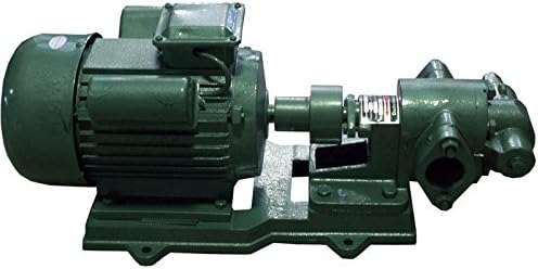 Duda Diesel KCB018 Kcb 18.3 Gear Oil Pump, 210 psi, 110V/120V, 2 hp, Wvo Biodiesel Fuels, 5 GPM Maximum Flow Rate, Stainless Steel