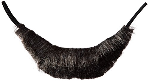 California Costumes Men's Honest Abe Beard Adult