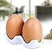 MyGift Ceramic Salt and Pepper Shaker Set, Mini Brown Egg Shaped Shakers with Carton Design Holding Stand, 3 Piece