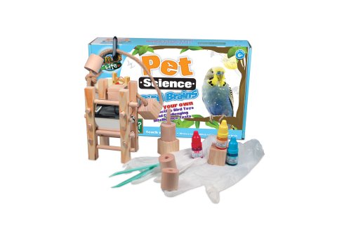 Wild Science Bird Brain