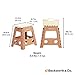 Beckworth & Co. SmartFlip Multipurpose Camping and Step Stools with Carrying Case - 2 Pack