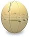 Premium Ostrich Eggshell - Grade B - Jumbo Size