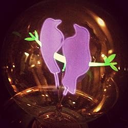 DarkSteve - Bird Couple Decorative Light Bulb