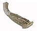 WhiteTail Naturals - Deer Antlers for Large Dogs - (1 Pack - Extra Large) - All Natural Dog Antler- Naturally Shed, Long Lasting Chew Bone, Crafted in USA for Aggressive Chewers