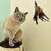 Cat Toy Feather Wand (Including 3X Feather Refills) - These Natural Feathers are Guaranteed to Drive Your Cat Wild!